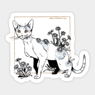 Devon rex Sticker